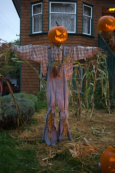 Basic Scarecrow