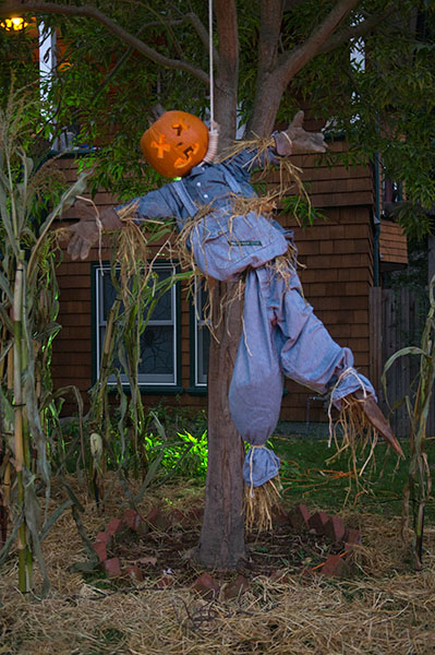 Hung Scarecrow