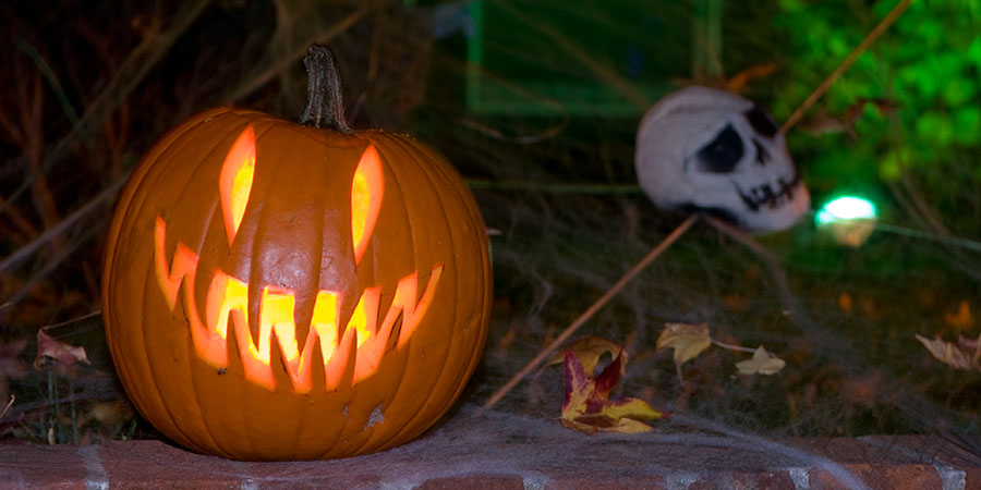 Pumpkin Detail