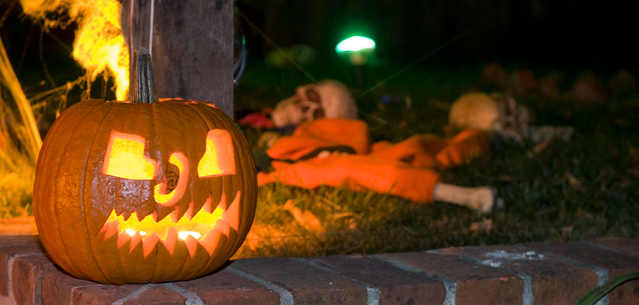 Pumpkin Detail