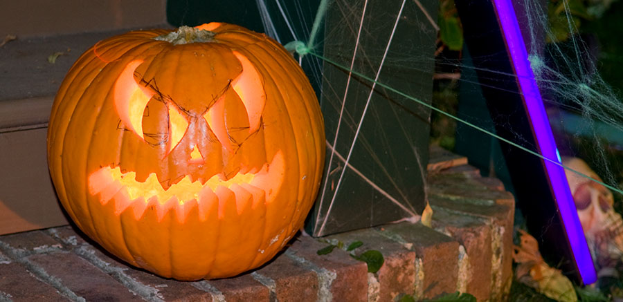 Pumpkin Detail